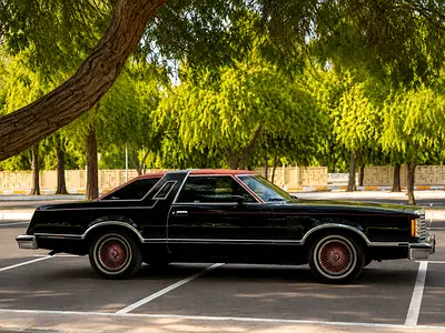 1978 FORD THUNDERBIRD 照片 13