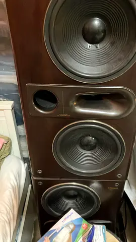 Pioneer S-HE10