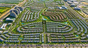 GREEN PATCH VIEW | SINGLE ROW | COMMUNITY EXPERT