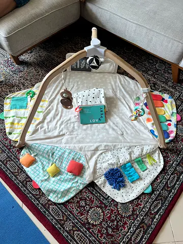 Lovevery The Play Gym: Stage-Based Developmental Activity Gym & Play Mat for Baby to Toddler