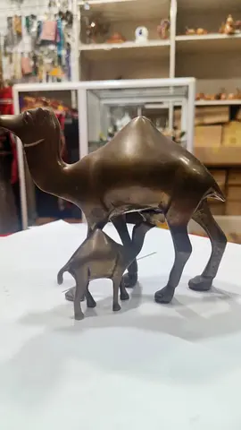 Brass Camel Mother and Calf Figurine -14x12cm