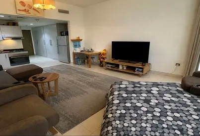 Negotiable | 12 Cheques | Chiller Free | Furnished