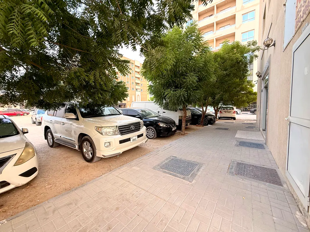 gallery-image
