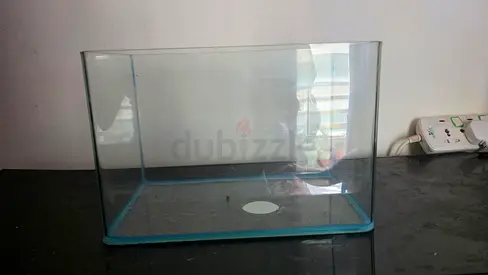 Clear Glass Fish Tank