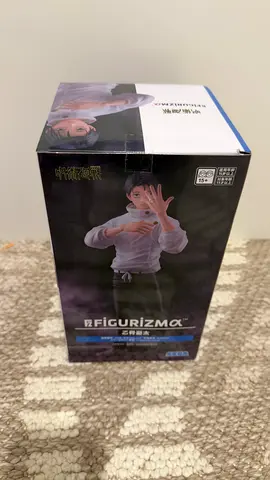 Figurizma Collectible Anime Figure (Sealed Box)