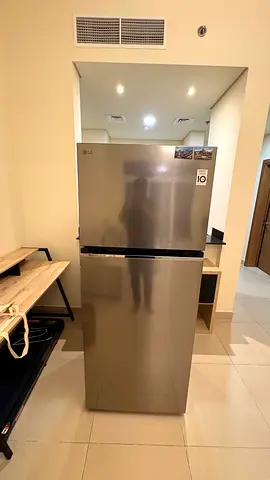 LG Top Freezer Refrigerator - Stainless Steel, Good Condition