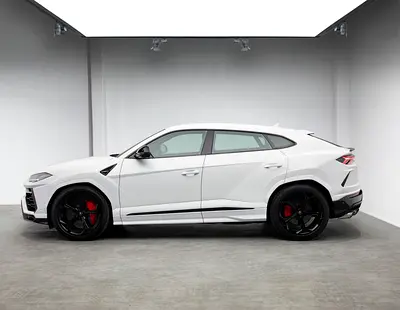 2019 Lamborghini URUS 照片 2