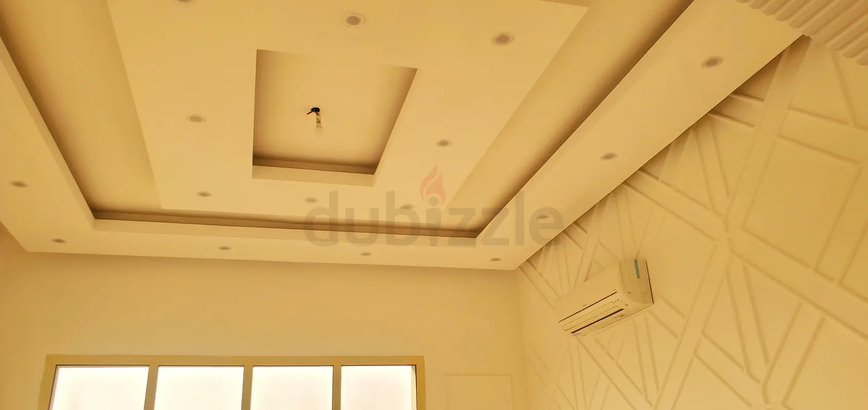 DPV_View_Image_4