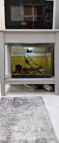 Fish tank with Table , fishes and all accessories