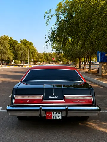 1978 FORD THUNDERBIRD 照片 19