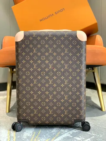 LV luggage cabin