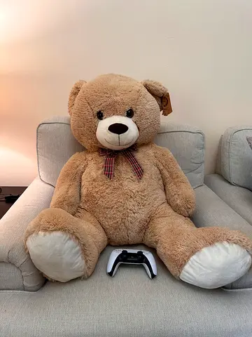Teddy bear brand new