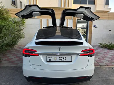 2017 Tesla MODEL X — фото 1