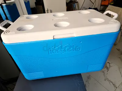 Cosmoplast Keep Cold – 60L Picnic Cooler Icebox