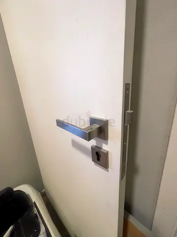 Door wooden