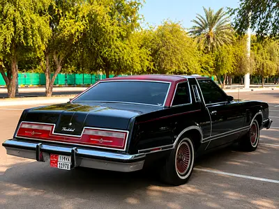 1978 FORD THUNDERBIRD 照片 17