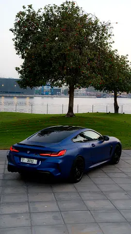 2020 BMW M8 照片 3