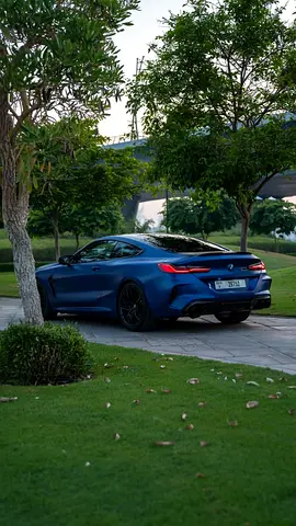 2020 BMW M8 照片 4