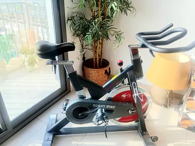 Spinning indoor bike