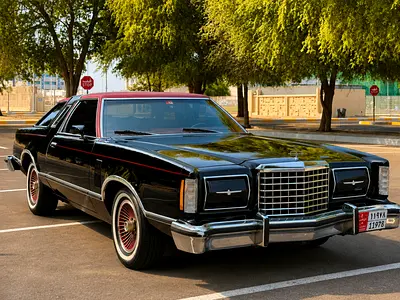 1978 FORD THUNDERBIRD 照片 9