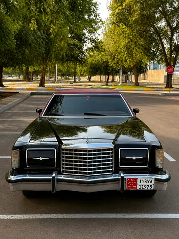 1978 FORD THUNDERBIRD 照片 4