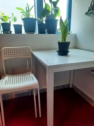 Dining table and 4 chairs