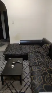 Room for one available for executive bachelor