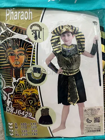 Boys Pharaoh Costume - Egyptian Halloween/Party Outfit (Child Size 8-9yrs)