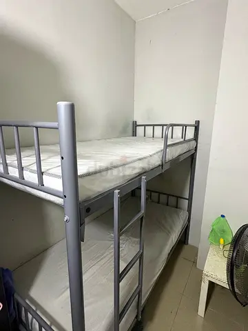 bed space for 600 AED