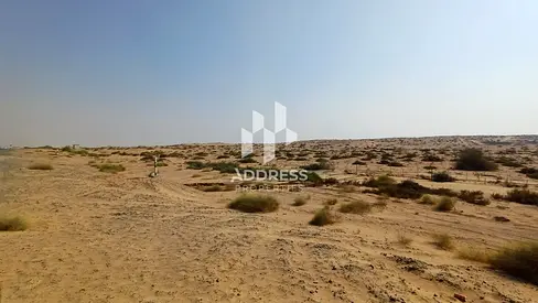 Prime Freehold Commercial Plot | Direct on Khorfakkan Road | G+7 Development!
