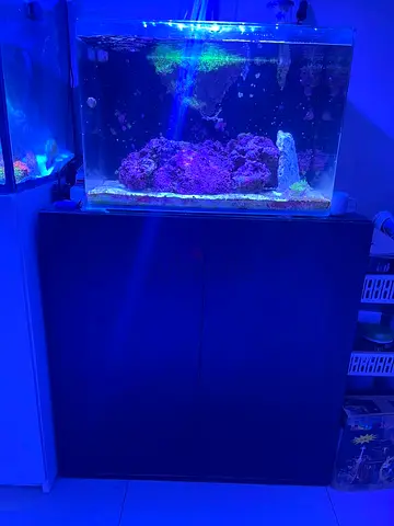 96L Ready Saltwater Aquarium Tank with Stand and Live Rock