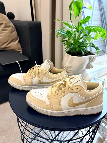 Air Jordan 1 low