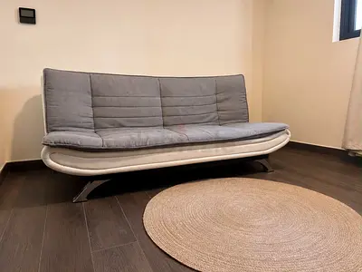 Modern Grey and White Sofa Bed