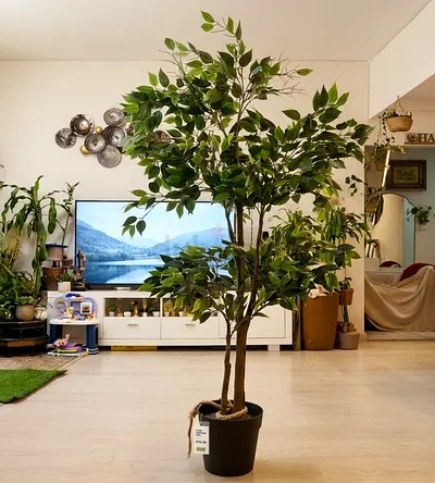 IKEA Large Artificial Ficus Tree in Pot — Good Condition, Ready to Decorate (170cm)