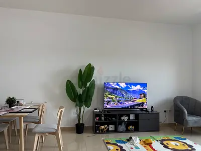 SONY Bravia 8ii TV 55 inches bought in 2025
