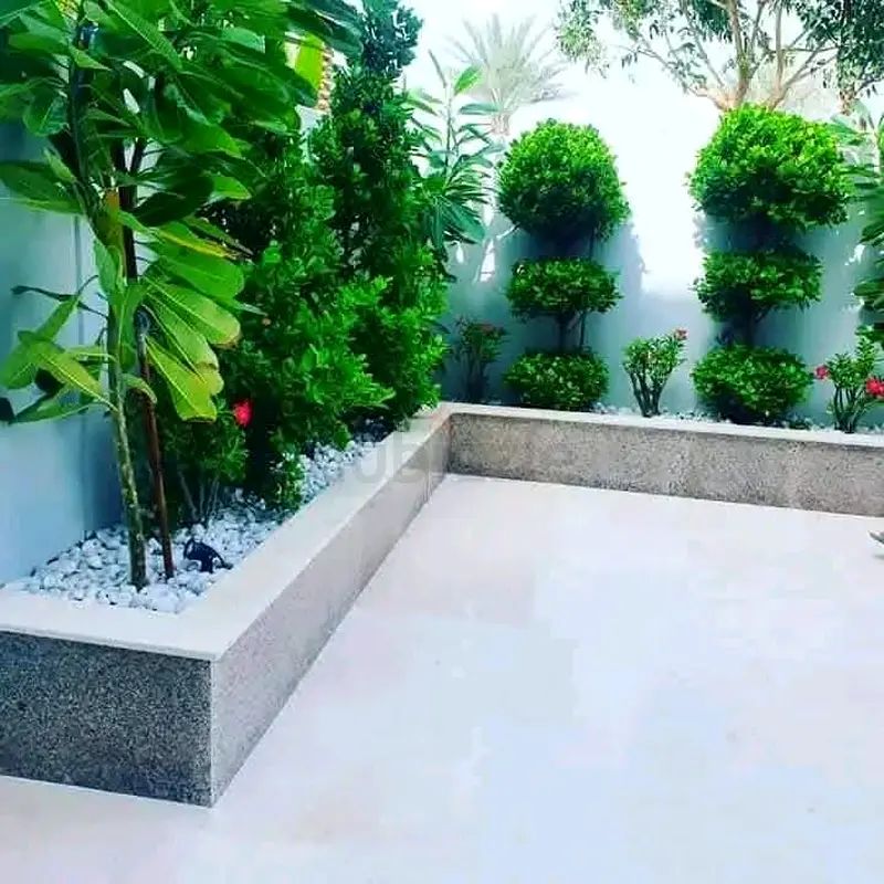 DPV_View_Image_1