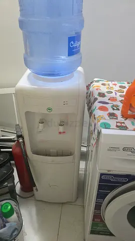 Water dispenser