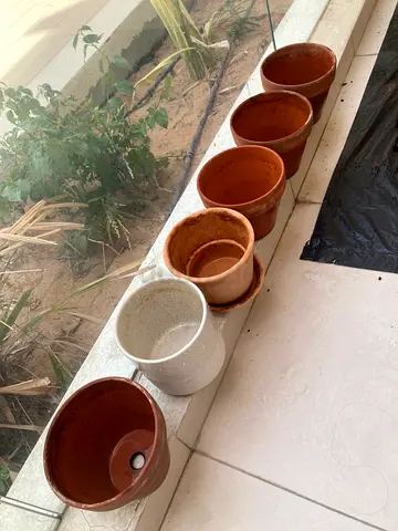 Urgent - assorted ceramic and terracotta plant pots — good used condition with garden accessories.