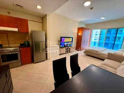 Fully Furnished High-Floor Studio with Lake View