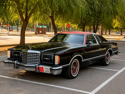 1978 FORD THUNDERBIRD 照片 10