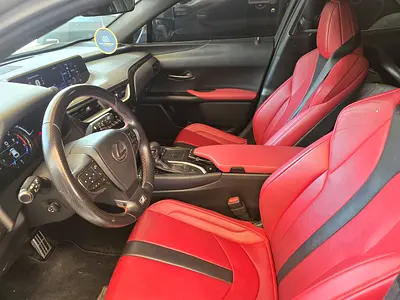 صورة 15 لـ 2019 Lexus UX-SERIES