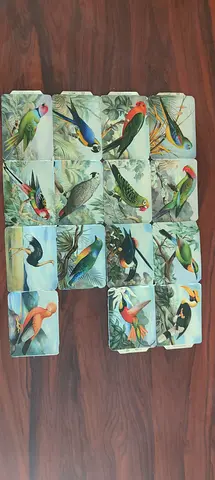 Vintage Bird Illustration Cards Collection