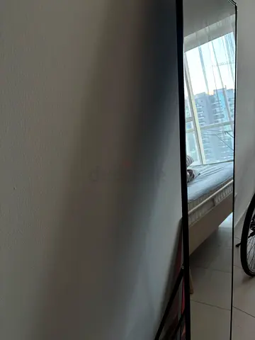 Tall Free-Standing Full-Length Mirror with Black Frame