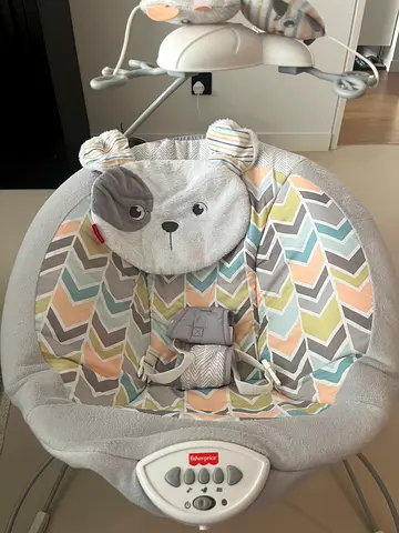 Fisher Price Deluxe Bouncer