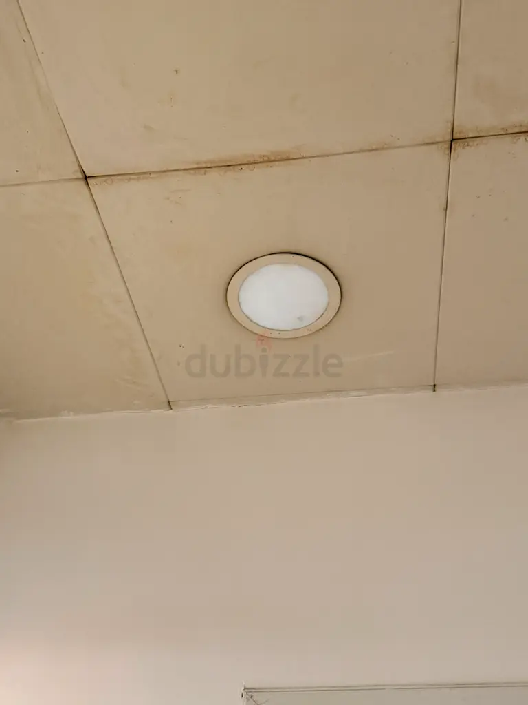 DPV_View_Image_6