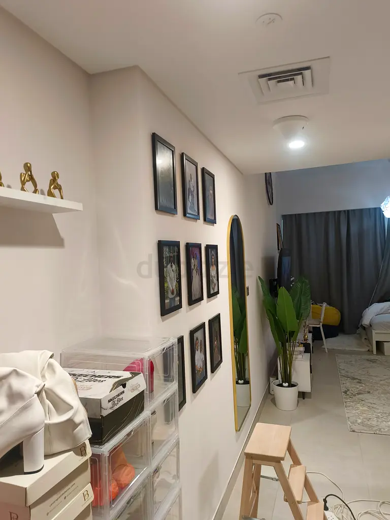 DPV_View_Image_2