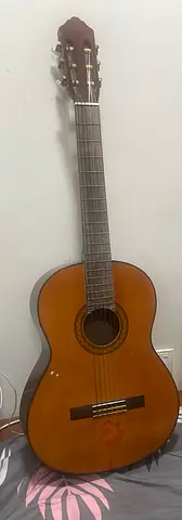 Acoustic Guitar
