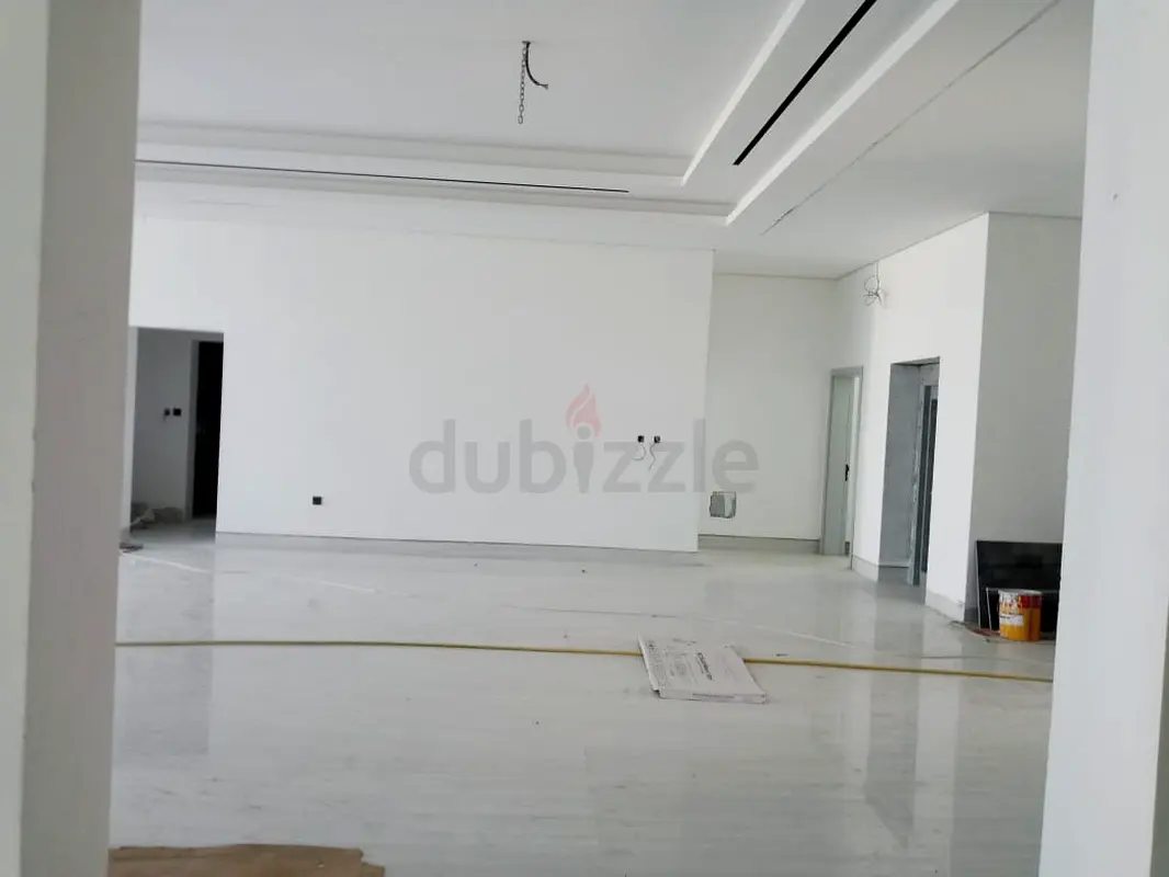 DPV_View_Image_1
