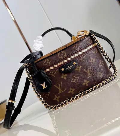 Lv makeup bag