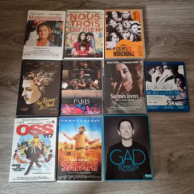 French Cinema & Comedy DVD Bundle - 9 Movies with English Subtitles and 1 with english audio
